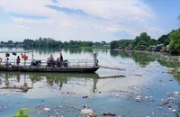 Video: Sau cơn mưa, rác ngập sông Đồng Nai 
