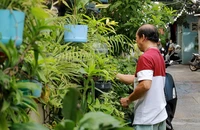 Video: ‘Sống xanh’ từ việc tận dụng rác thải nhựa