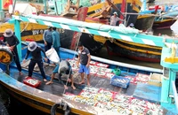 Video: Bình Thuận phát triển kinh tế biển gắn với bảo vệ môi trường 