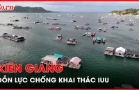 Tìm giải pháp khắc phục tồn tại trong chống khai thác IUU, phát triển kinh tế biển bền vững tại Kiên Giang