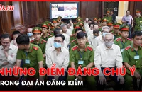 Những điểm đáng chú ý trong hai ngày xử đại án đăng kiểm