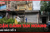 Bão số 3 đi qua, Hà Nội và các tỉnh thành phía Bắc gặp nhiều thiệt hại