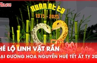 Sự trở lại ấn tượng của linh vật rắn trên Đường hoa Nguyễn Huệ Tết Ất Tỵ sau 12 năm
