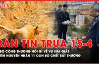Bản tin trưa 15-04: Bộ Công Thương nói gì về đường dây sản xuất sữa giả doanh thu 500 tỷ?; Tìm nguyên nhân 11 con bò chết bất thường tại Gia Lai