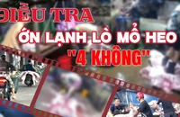 Trailer: Đột kích lò mổ heo lậu '4 không'