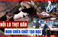Video điều tra: Lo ngại nếu thịt heo nhiễm khuẩn, có chất tạo nạc