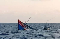 2 ngư dân mất tích do tàu cá bị sóng đánh chìm
