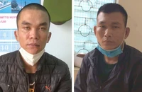 Tạm giữ hai người lái xe tải đi trộm chó liên tỉnh