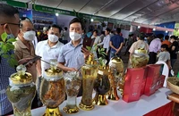 Kon Tum phát triển sâm Ngọc Linh thành sản phẩm du lịch tỉnh nhà