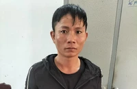 Lái ô tô từ Đắk Lắk đến Phú Yên trộm cả đàn bò