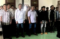 27 bị cáo lãnh án vụ phá rừng trồng keo ở Phú Yên
