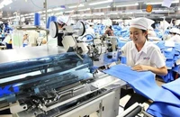 Trưởng cơ quan Thương vụ Việt Nam tại Mỹ nói về việc Mỹ áp thuế 46% với hàng Việt Nam 