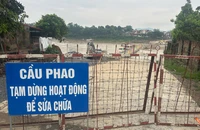 Nước sông Thao dâng cao, cầu phao Phong Châu lại tạm dừng hoạt động