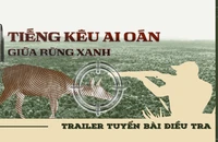 Trailer điều tra: Tiếng kêu ai oán giữa rừng xanh