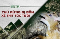 Video điều tra: Thú rừng Vườn quốc gia Cát Tiên bị bắn trộm, xẻ thịt