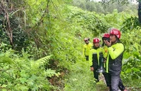 50 người vào rừng tìm kiếm người đàn ông mất tích 4 ngày