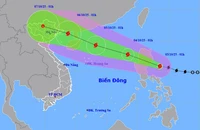 Bão Matmo đang áp sát Biển Đông, giật cấp 15 khi thành bão số 11