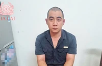 Lời khai của thanh niên lái ô tô tông vào quán nhậu ở Gia Lai