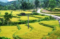 Nghiên cứu phát triển sản phẩm du lịch vùng núi tỉnh Bình Định