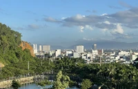 Kỷ luật, đề nghị kỷ luật 3 người vi phạm dự án đường Hoàng Văn Thụ nối dài ở Quy Nhơn