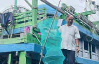 Ngư dân Bình Định đưa rác thải nhựa từ biển vào đất liền