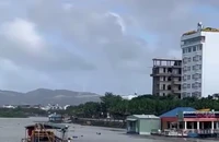 Khơi thông dòng chảy, tiêu thoát lũ do bùn thải ở Quy Nhơn