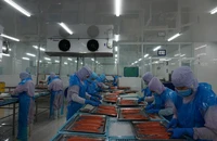 Bình Định: Một doanh nghiệp FDI thưởng Tết cao nhất cho nhân viên đến 250 triệu đồng