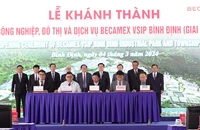 Phó Thủ tướng: Khu công nghiệp - đô thị - dịch vụ Becamex VSIP Bình Định là mô hình rất mới