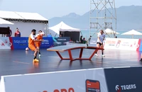 Hấp dẫn giải đấu Teqball thế giới 2024 tại TP Quy Nhơn, Bình Định