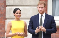 Hoàng tử Harry và vợ là Công nương Meghan. Ảnh: THE SUN
