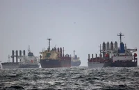 Các con tàu đang chờ kiểm tra theo Thỏa thuận ​​Ngũ cốc Biển Đen tại phía nam của eo biển Bosphorus (Thổ Nhĩ Kỳ) ngày 11-12-2022. Ảnh: REUTERS