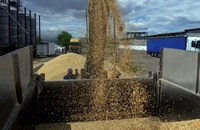 Công nhân chất ngũ cốc lên xe tải ở cảng Odesa (Ukraine) ngày 23-6- 2022. Ảnh: REUTERS