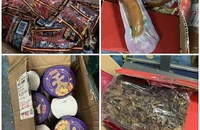 Singapore phạt một phụ nữ TQ 9.000 USD vì nhập lậu lượng lớn tiết vịt, tiết lợn 