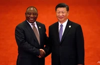 Tổng thống Nam Phi Cyril Ramaphosa (trái) và Chủ tịch TQ Tập Cận Bình tại Diễn đàn Hợp tác Trung Quốc-Châu Phi ở thủ đô Bắc Kinh (TQ) ngày 3-9-2018. Ảnh: AFP