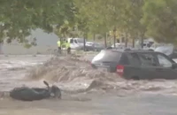 VIDEO: Người dân bám vào ô tô, trèo lên cây cao tránh dòng lũ kinh hoàng