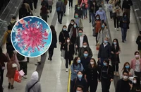 Biết gì về HMPV - virus đang lây ở Trung Quốc?