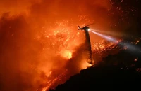 Cháy rừng ở Los Angeles: Người chết tăng; Ông Trump sốt ruột; Ukraine muốn hỗ trợ dập lửa