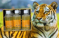 Sở thú gây sốc khi bán nước tiểu hổ để trị bệnh 