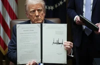 Ông Trump ký sắc lệnh siết hoạt động bỏ phiếu: Tác động ra sao?
