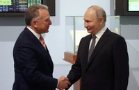 Ông Putin tiếp đặc phái viên của ông Trump, bàn xung đột Ukraine