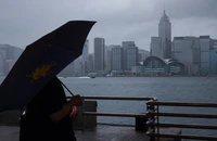 Bão Wipha áp sát Hong Kong với cường độ mạnh, kéo theo mưa to, gió lớn