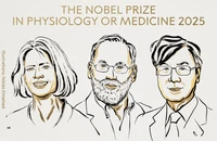 Nobel Y học 2025 vinh danh công trình về dung nạp miễn dịch ngoại biên