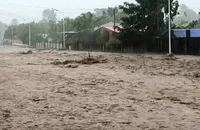 Siêu bão Fung-wong đổ bộ Philippines, gần cả triệu dân phải sơ tán