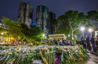 Thảm kịch cháy ở Hong Kong: Đã 146 người chết, 100 người vẫn mất tích