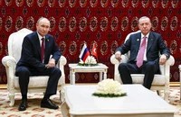Ông Erdogan thúc giục Nga-Ukraine ngừng bắn vào hạ tầng cảng và năng lượng