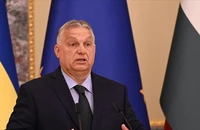 Hungary triệu tập đại sứ Ukraine vì cáo buộc can thiệp bầu cử