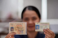 20 triệu giấy phép lái xe chưa được xác thực