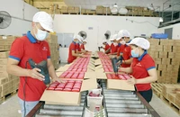 Chuyên gia cho rằng cần có những cải cách quyết liệt hơn về thể chế và chính sách để thúc đẩy kinh tế tư nhân bứt phá.