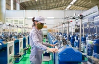 Giải pháp để tạo nên sức mạnh doanh nghiệp tư nhân Việt