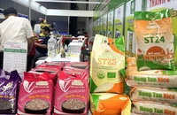 Doanh nghiệp xuất khẩu gạo Việt cần củng cố vị thế tại thị trường Philippines